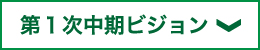 第1次中期ビジョン